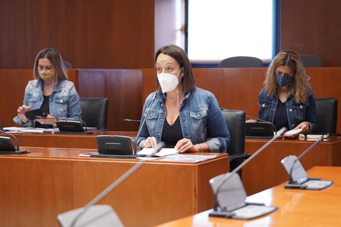 La diputada del PP Carmen Susín.