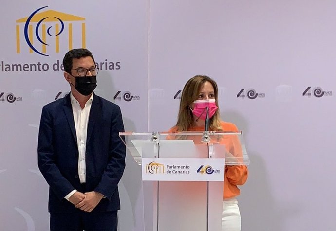 Los diputados del Grupo Nacionalista Canario Pablo Rodríguez y Rosa Dávila