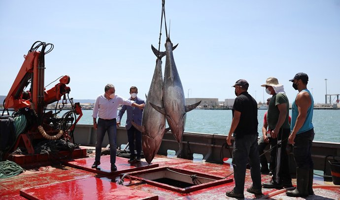 Bendodo en un barco almadrabero con dos atunes recién capturados