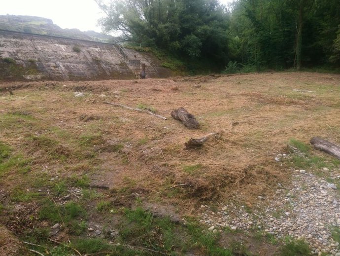 Tala en la presa del Furacón.