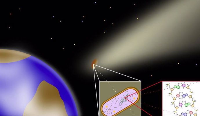 Panspermia: la teoría que plantea cómo la  vida puede expandirse entre planetas