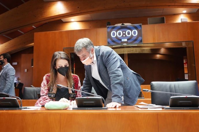 Los diputados del PAR, Esther Peirat, y de Ciudadanos, Ramiro Domínguez, en las Cortes de Aragón.