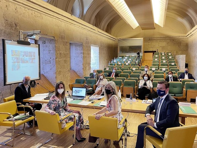 Celebración del Pleno del Patronato de la Alhambra y Generalife