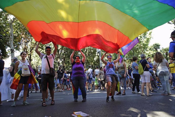 Un grupo de personas sujeta la bandera LGTBI en Madrid