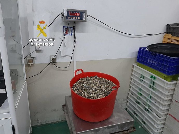 La Guardia Civil interviene unos 203 kilogramos de bivalvos en Muros (A Coruña) por carecer de permiso de extracción.