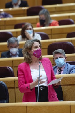 La vicepresidenta cuarta y ministra para la Transición Ecológica y el Reto Demográfico, Teresa Ribera interviene, durante una sesión de control al Gobierno