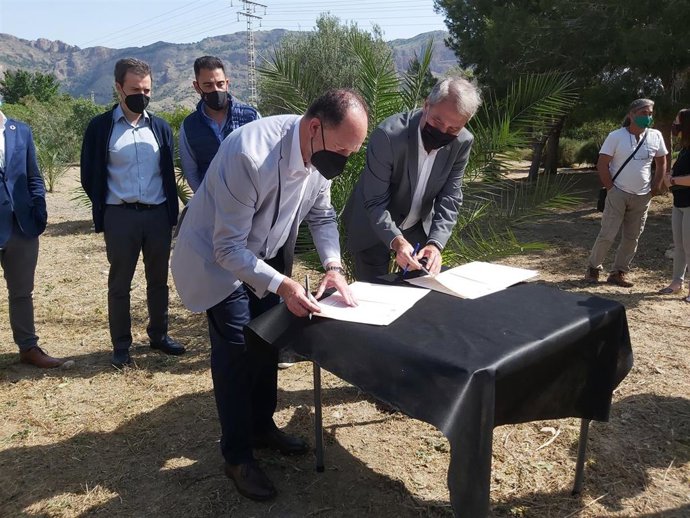 La UMH y Orihuela firman un convenio para el mantenimiento y fomento del Palmetum en el Río Segura
