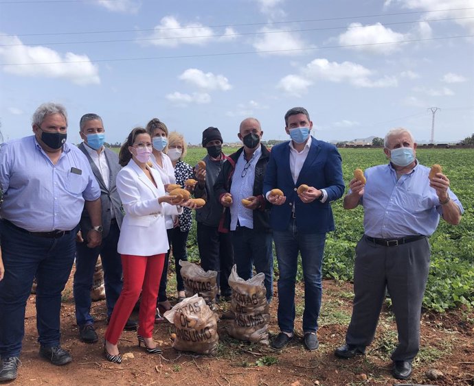 El consejero Antonio Luengo (2d), durante su visita a una finca de producción de patatas acompañado por representantes del Ayuntamiento de Cartagena, productores y organizaciones agrarias.