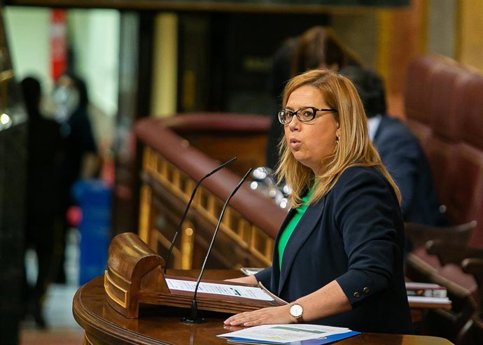 La diputada del PP Elena Castillo, en la tribuna del Congreso