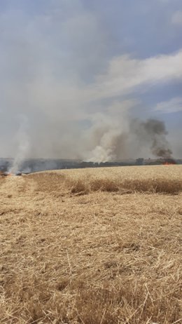 Imagen del incendio declarado en Sanlúcar la Mayor (Sevilla), junto al Corredor Verde