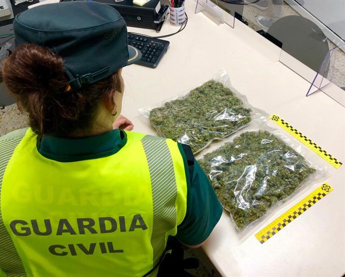 Archivo - Imagen de archivo sobre una incautación de marihuana en Galicia por la Guardia Civil 