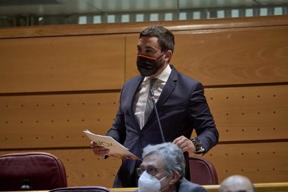 Vox Presenta Un Recurso De Amparo Ante El Constitucional Por El Acatamiento De Dos Senadores Independentistas