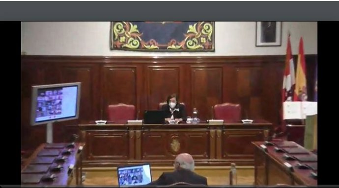 Captura de la comparecencia  online de la presidenta de la Diputación en el Pleno de este jueves.