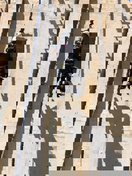 Las Unidades de Guías Caninos de la Policía Nacion