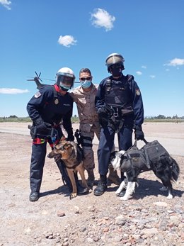 Las Unidades de Guías Caninos de la Policía Nacional y el Ejército entrenan juntas para formar a sus canes
