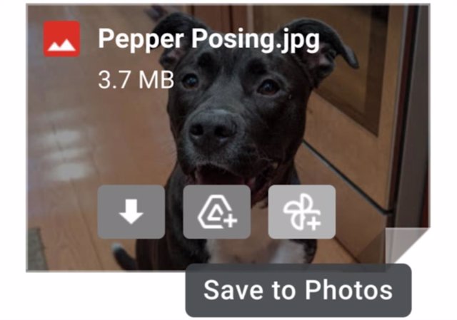 Botón para enviar las fotos de Gmail a Google Fotos