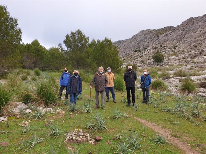 Amics de la Terra Mallorca hace años que trabajan en la custodia del territorio de la finca de Son Torrella, en Escorca.