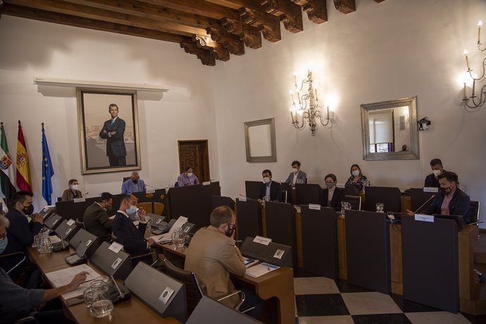 Pleno ordinario del mes de mayo que ha celebrado este jueves la Diputación de Cáceres