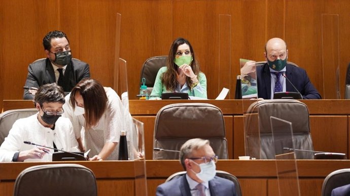 Los tres diputados de VOX en las Cortes de Aragón.