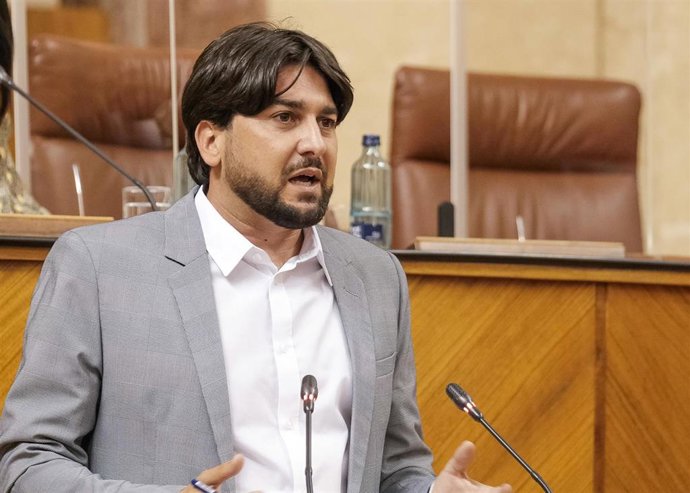 El parlamentario de Adelante Andalucía Ismael Sánchez, en el Pleno de la Cámara.