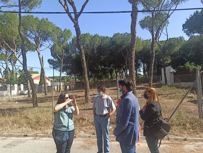 Visita a los Pinares de Oromana