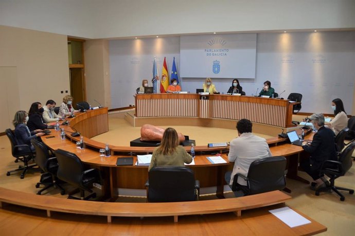 Comisión 5 del Parlamento de Galicia durante la presentación del informe anual sobre violencia de género