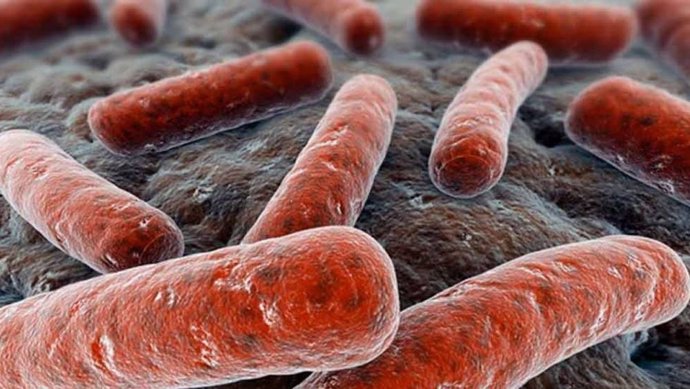 Recreación de la bacteria Mycobacterium tuberculosis que causa la infección pulmonar