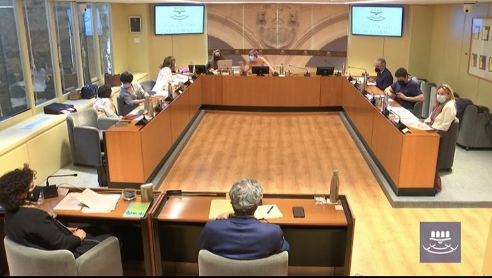 Momento de la comparecencia parlamentaria