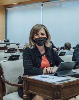 Patricia Rueda, diputada nacional de Vox por Málaga