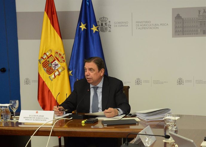 El ministro de Agricultura, Pesca y Alimentación, Luis Planas