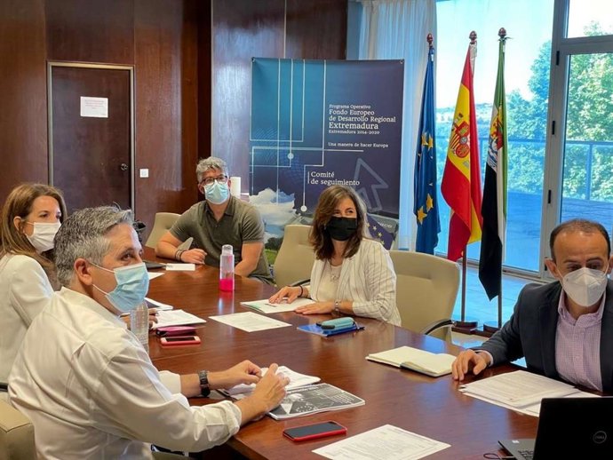 Comité de Seguimiento del Fondo Europeo de Desarrollo Regional (FEDER)