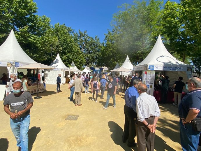 Feria Sabor a Málaga en Antequera