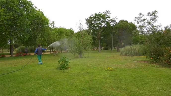 Fumigación del mosquito que transmite el virus del Nilo en el Parque de las Marismas de Los Palacios
