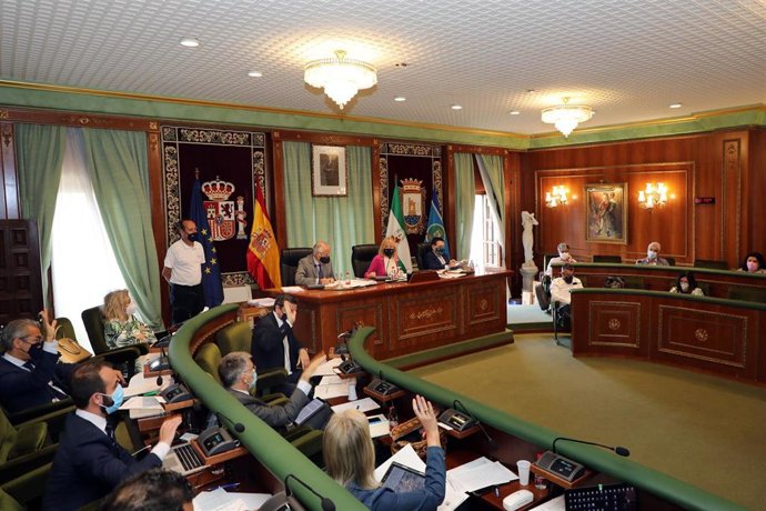 Pleno del Ayuntamiento de Marbella