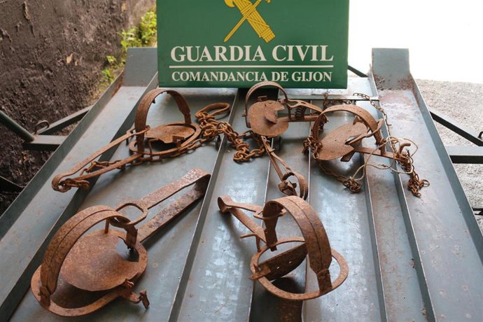 Cepos de caza incautados por la Guardia Civil de Gijón a un gijonés que trataba de venderlos por Internet