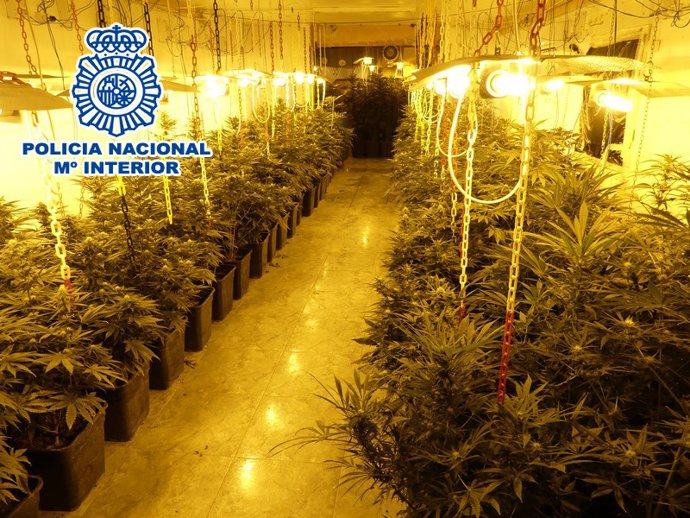 La Policia Nacional d'Elda-Petrer, desplega un operatiu en la Tafalera per trnsit de drogues resultant detinguts sis membres d'un grup criminal