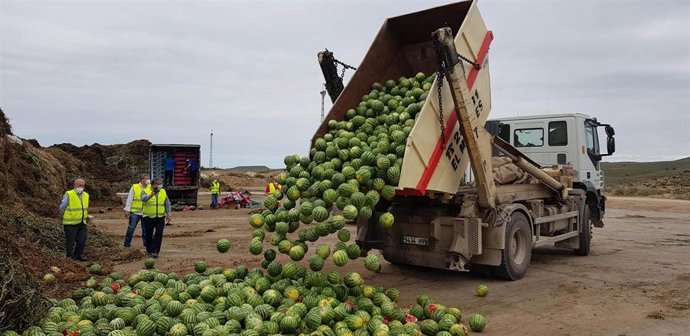 Productores agrícolas de Almería desechan 150 toneladas de melón y sandía apta para el consumo en el campo de Níjar por los bajos precios