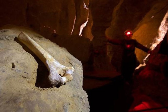 Archivo - Imagen del yacimiento de El Sidrón (Asturias), donde se encontraron los restos fósiles de 13 neandertales
