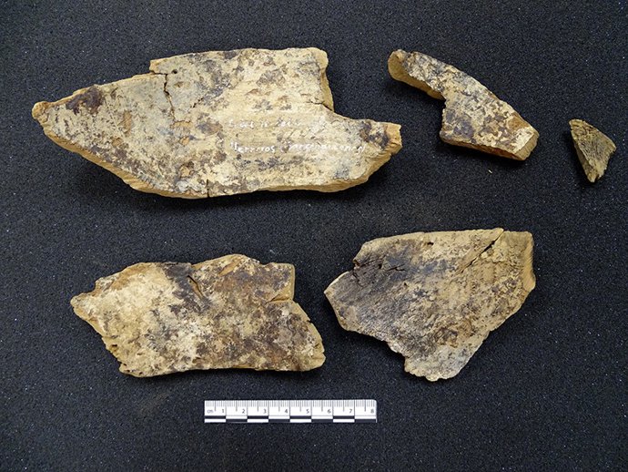 Archivo - Cuenco de madera de la Cueva de Hoyo de los Herreros