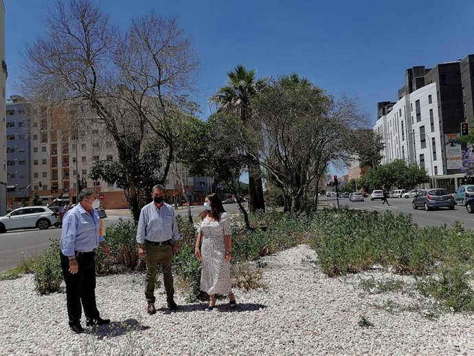 PP denuncia el "lamentable estado de abandono" al que Espadas tiene sometidos a vecinos de Sevilla Este