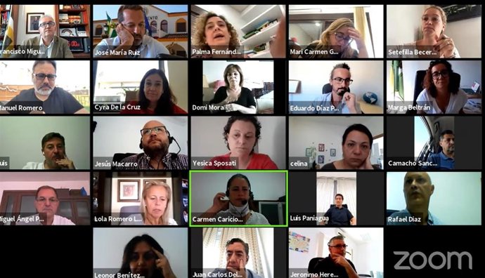 Pleno extraordinario, en formato telemático, en el Consistorio de Bormujos. Foto de archivo