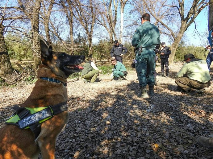 Unidad Canina de la Junta de Andalucía.