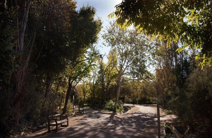 Parque de Marxalenes, en Valncia