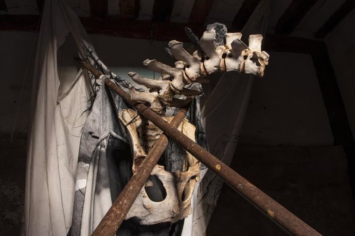 Archivo - Fragmentos rituales