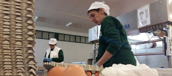 Aragón convoca ayudas a la industria agroalimentaria de Teruel con los fondos FITE por valor de 1,25 millones de euros.