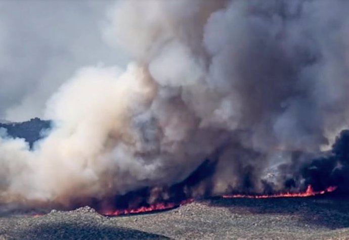El humo de los incendios forestales provocados por el hombre en la estepa patagónica está atrapado en el hielo antártico.