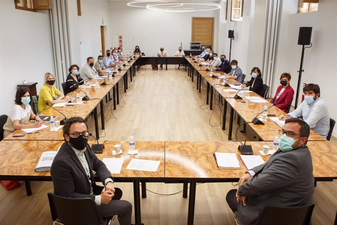 Reunión del Consejo para la promoción de la Accesibilidad Universal y de la Igualdad de Oportunidades