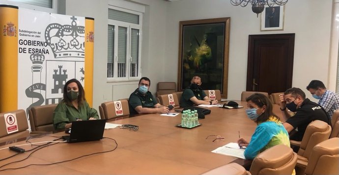 Reunión telemática del comité asesor del Plan Infoca en Jaén