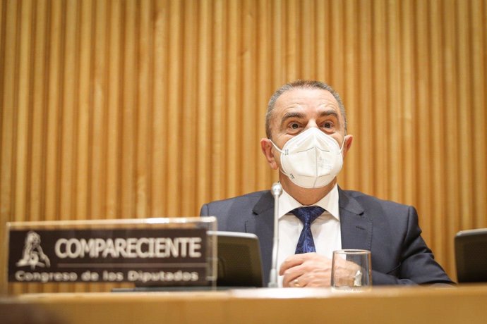 El presidente del Consejo Superior de Deportes, José Manuel Franco, en el Congreso.