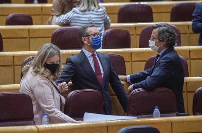 El portavoz del PP en el Senado, Javier Maroto (c), y otros senadores del PP, durante una sesión de control al Gobierno en el Senado, a 25 de mayo de 2021, en Madrid (España). 
